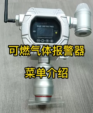 磁吸式可燃氣體報警器MIC-600-L-Ex-A